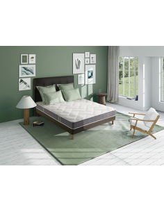 Ensemble EVOLUTION 2.0 BULTEX