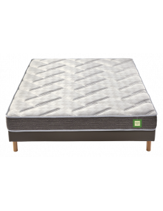 Ensemble EVOLUTION 2.0 BULTEX