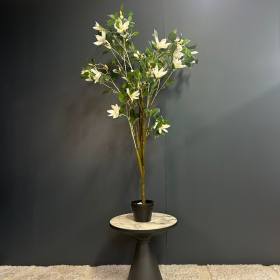 MAGNOLIA ARTIFICIEL