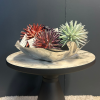 COUPE MÉTAL GLORIEUX 36 CM - MODÈLE D'EXPOSITION