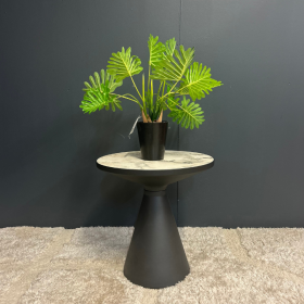 PLANTE CALADIUM - MODÈLE D'EXPOSITION