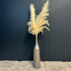 BOUQUET 3 PAMPAS NATURE - MODÈLE D'EXPOSITION