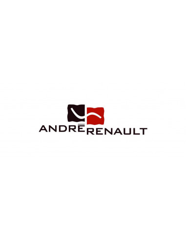 Banc coffre ANDRE RENAULT